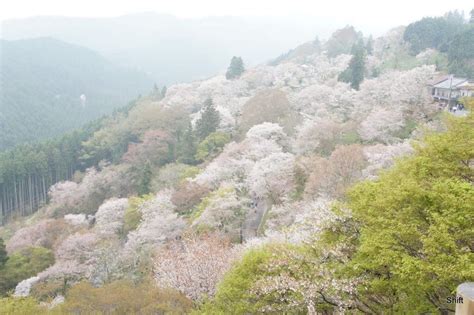 奈良 出会い の 場|【奈良】出会いがある場所はどこ？おすすめスポット .